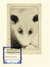 An_co_2010_didelphis lipsiensis_tiny